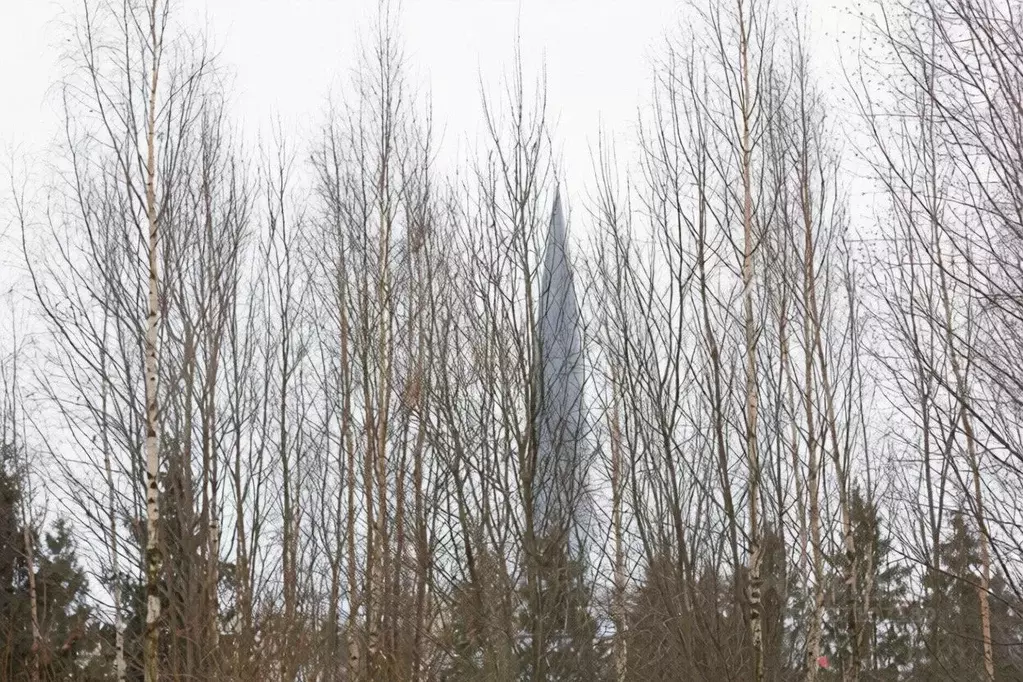 Свободной планировки кв. Санкт-Петербург ул. Новая, 51к68 (67.0 м) - Фото 2