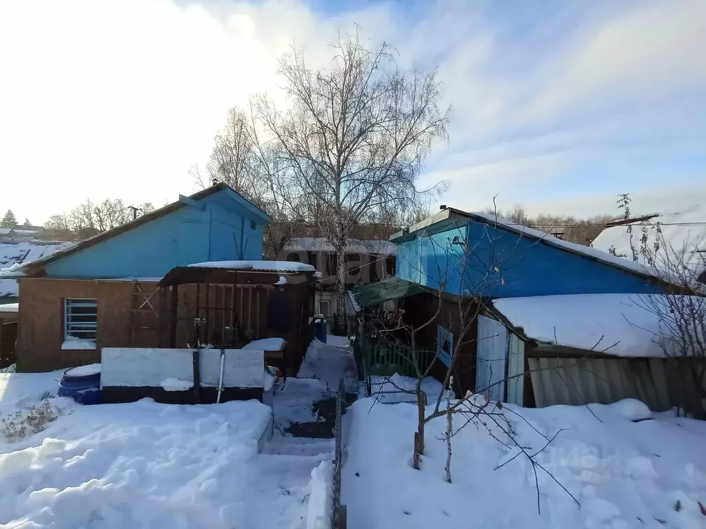 Участок в Новосибирская область, Бердск Восток-1 СНТ, ул. Заводская ... - Фото 2