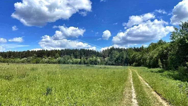 Участок в Московская область, Чехов муниципальный округ, д. Якшино  ... - Фото 2