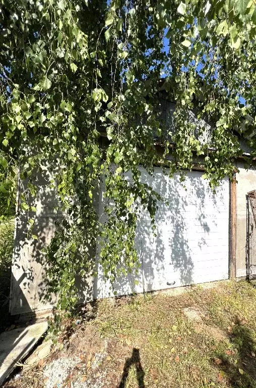 Продается участок в г. Солнечногорск - Фото 1