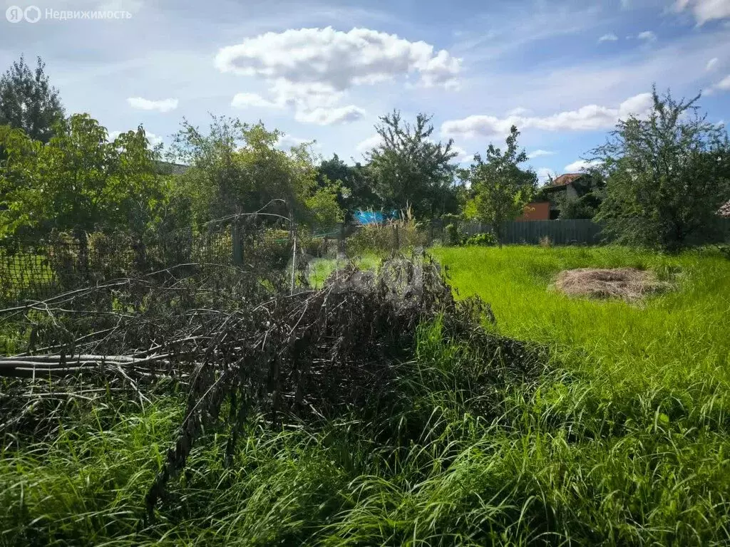 Участок в Калининград, СНТ Колосок, Благодатная улица (4.2 м) - Фото 2