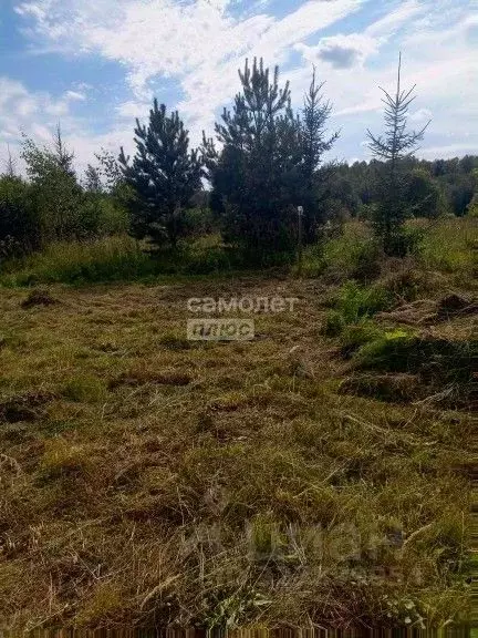 Участок в Московская область, Можайский муниципальный округ, Царские ... - Фото 2