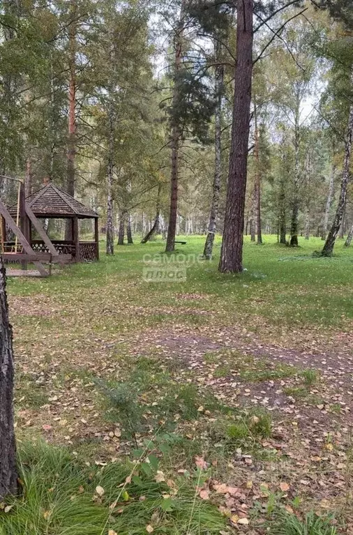 Участок в Алтай, Майминский район, с. Манжерок  (11.0 сот.) - Фото 1