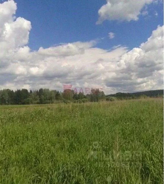 Участок в Ростовская область, Неклиновский район, Синявское с/пос, ... - Фото 0
