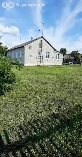 3-комнатная квартира: село Верхоценье, Строительная улица, 16А (52.6 ... - Фото 1