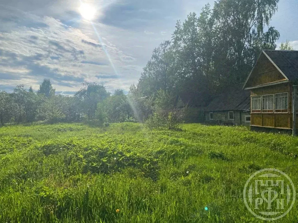Дом в Ленинградская область, Гатчинский муниципальный округ, Дружная ... - Фото 2