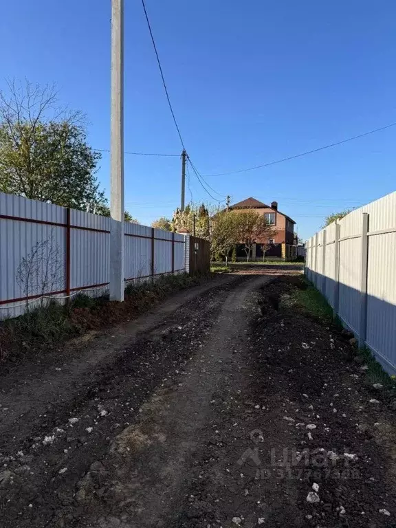 Участок в Липецкая область, Липецкий муниципальный округ, с. Косыревка ... - Фото 0