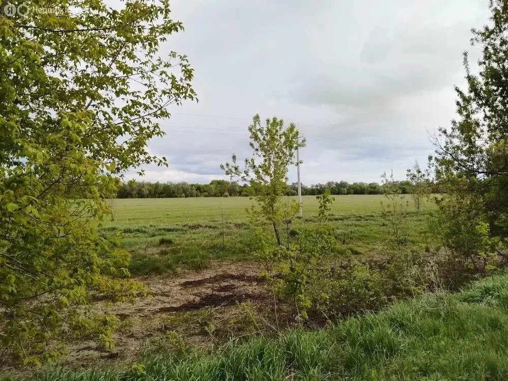 Участок в село Фирсово, Тенистая улица (13.3 м) - Фото 1