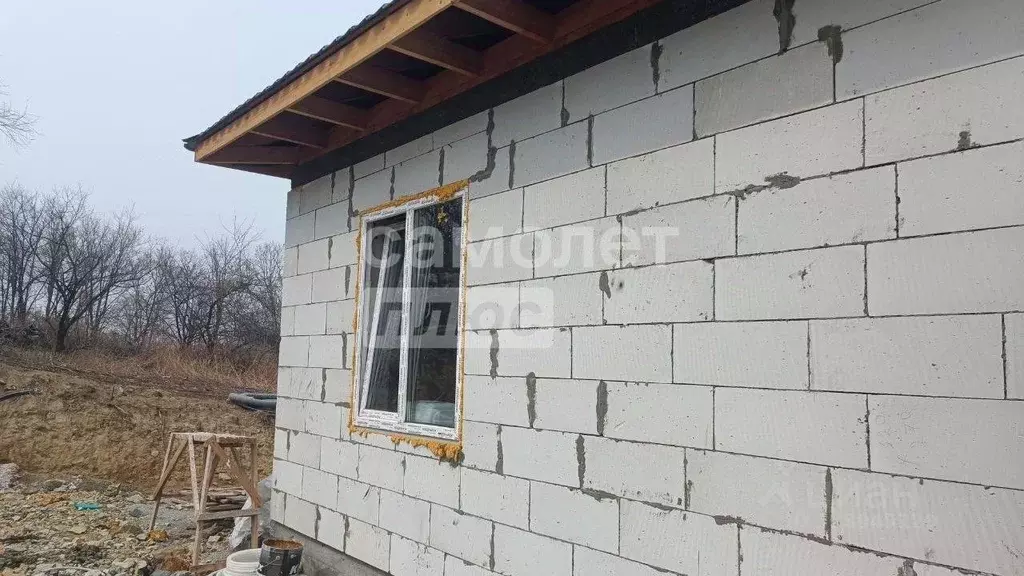 Дом в Приморский край, Артемовский городской округ, с. Кневичи ул. ... - Фото 2