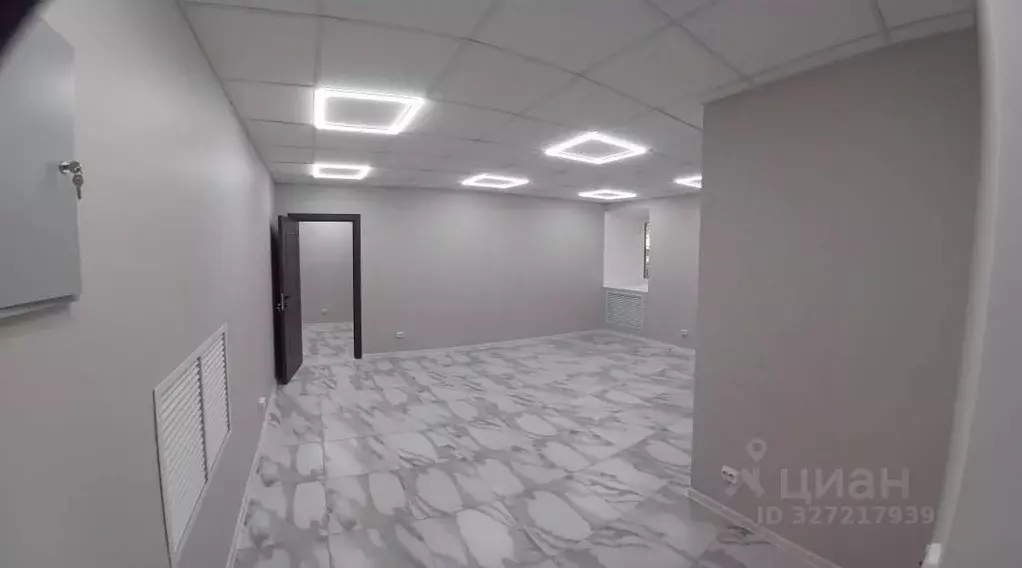 Помещение свободного назначения в Санкт-Петербург Угловой пер., 7 (42 ... - Фото 1