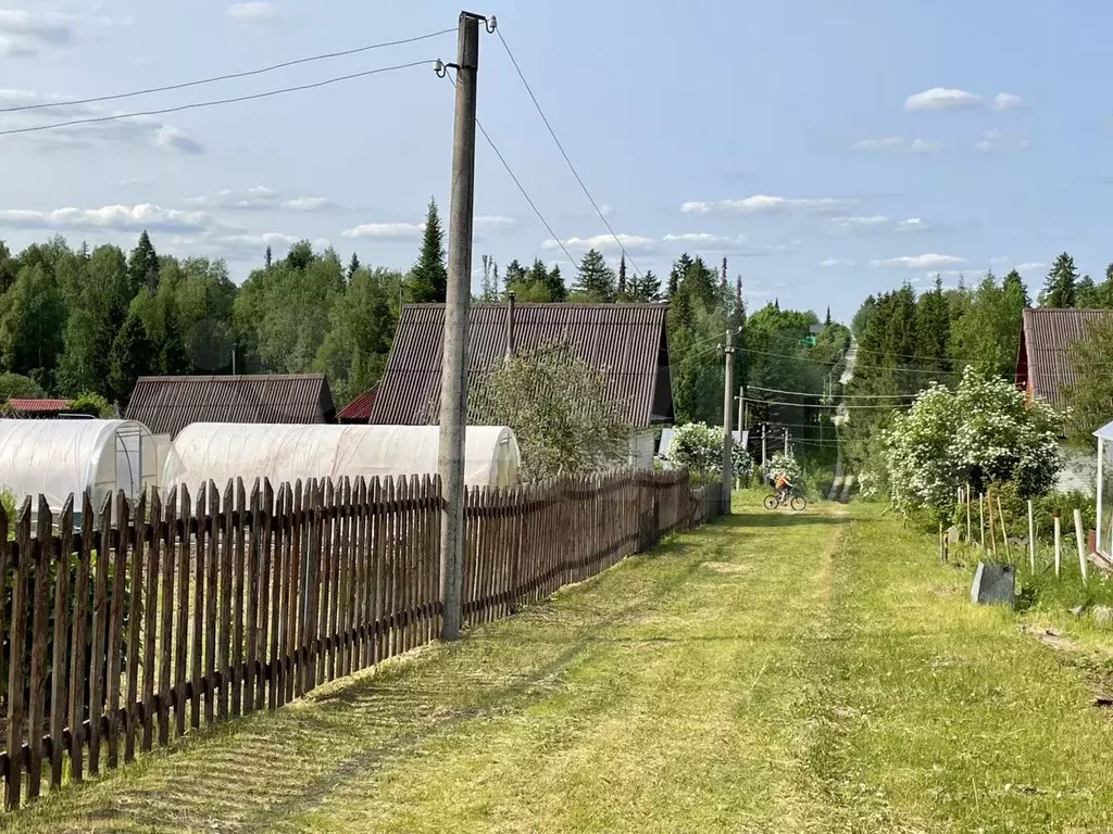 Участок 10 сот. (СНТ, ДНП) - Фото 1