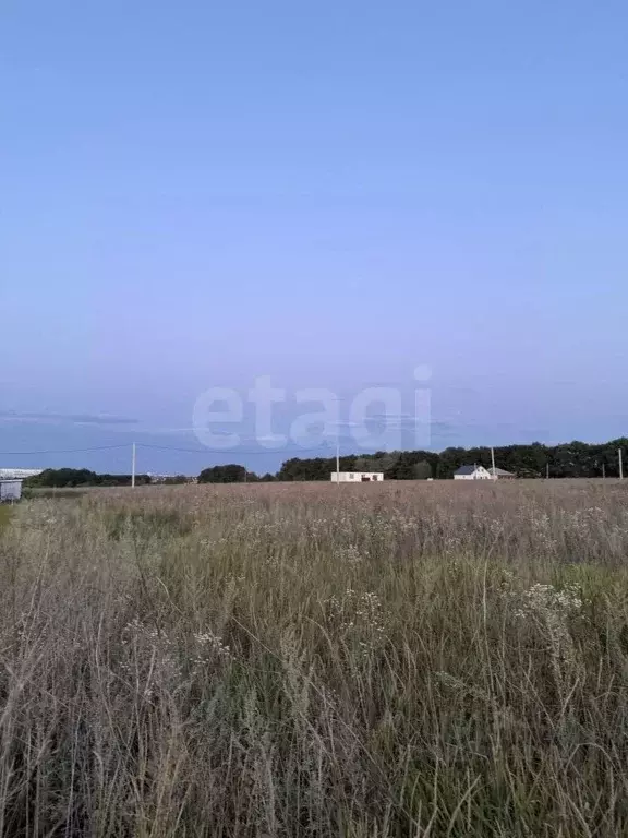 Участок в Курская область, Курский район, Полянский сельсовет, д. ... - Фото 1
