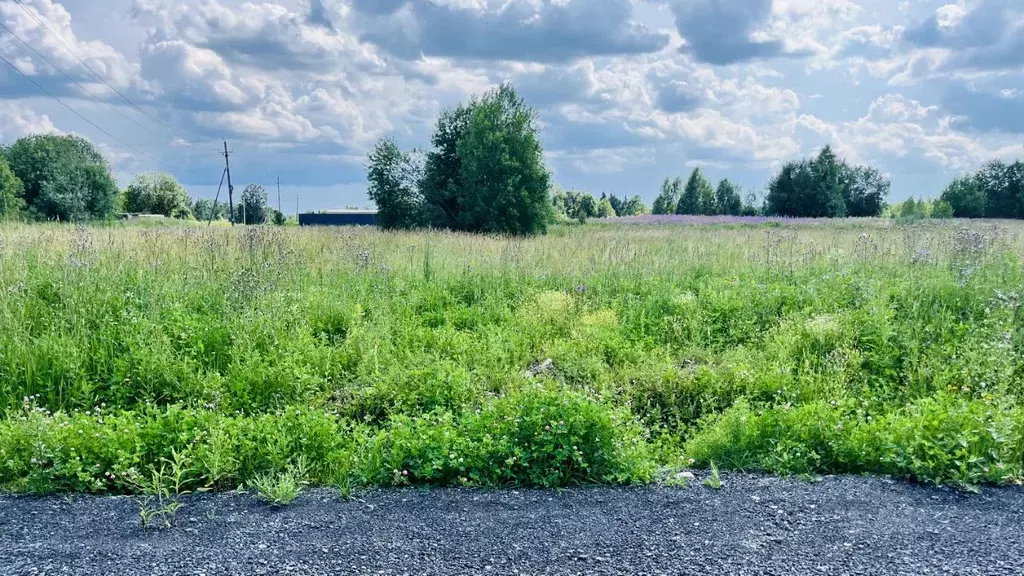 Участок в Московская область, Пушкинский городской округ, Софрино пгт ... - Фото 0