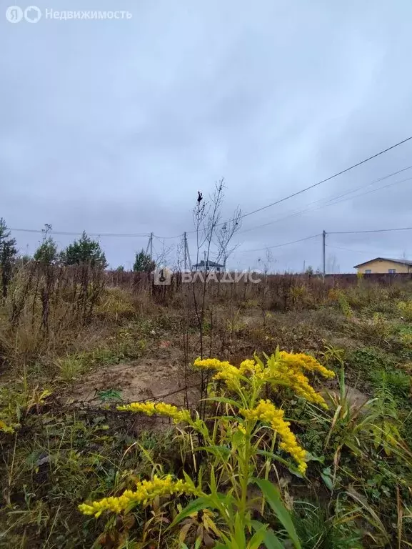 Участок в городской округ Владимир, деревня Уварово, 1-й Уваровский ... - Фото 1