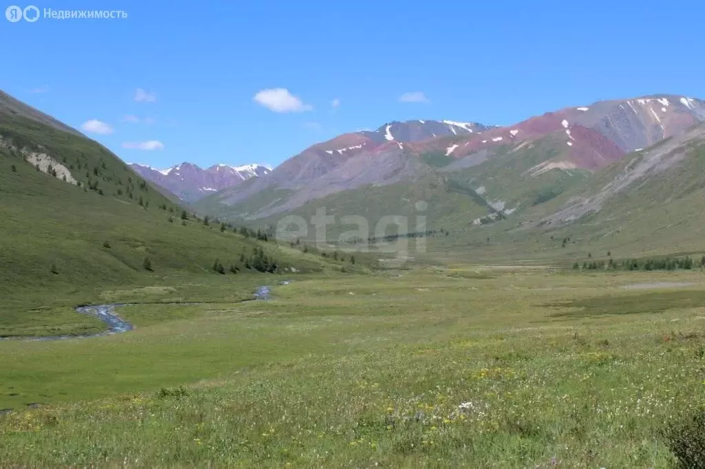 Участок в Кош-Агачский район, Джазаторское сельское поселение, село ... - Фото 2