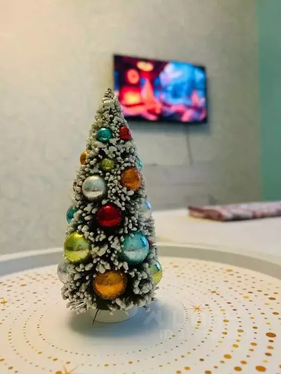 1-к кв. Ленинградская область, Гатчинский муниципальный округ, д. ... - Фото 2