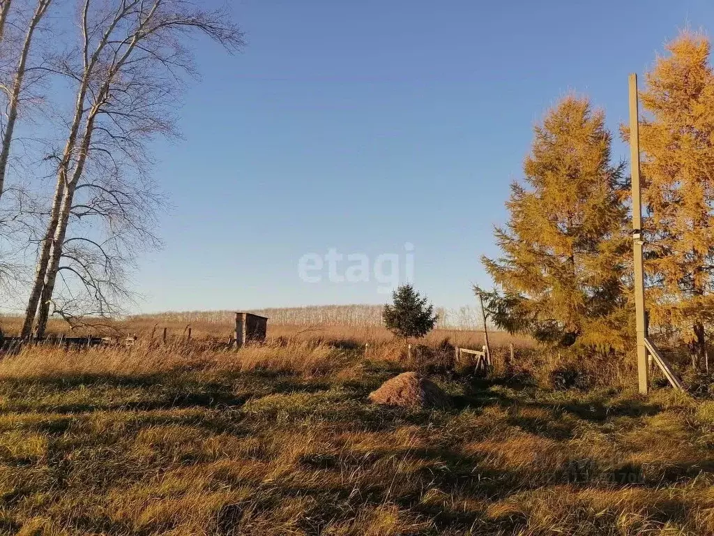 Участок в Новосибирская область, Искитимский район, Гилевский ... - Фото 0