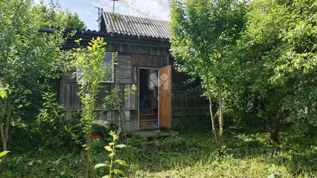 Участок в Санкт-Петербург № 3 ЛОМО СНТ,  (7.0 сот.) - Фото 0