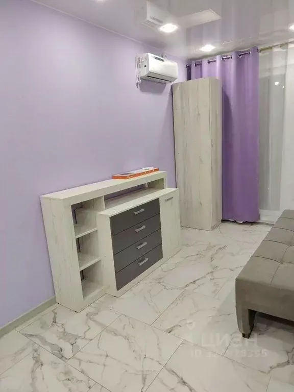 Студия Новосибирская область, Новосибирский район, Мочищенский ... - Фото 2