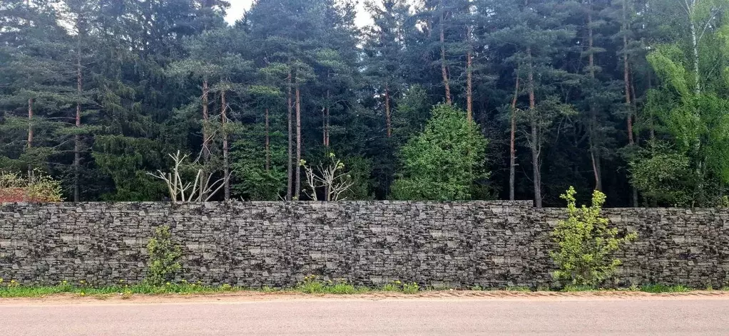 Дом в Псковская область, Пушкинские Горы рп ул. Звездная, 18 (90 м) - Фото 2