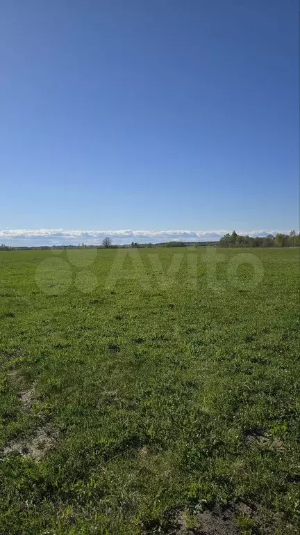 Участок 3,64 га (СНТ, ДНП) - Фото 0
