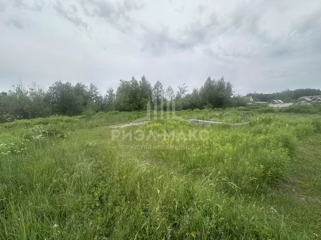 Участок в Брянская область, Брянск СО Мечта тер., ул. Виноградная (6.0 ... - Фото 0