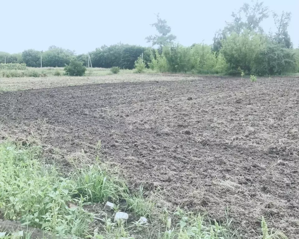 Купить Дом В Совхозе Воронежский Новоусманский Район