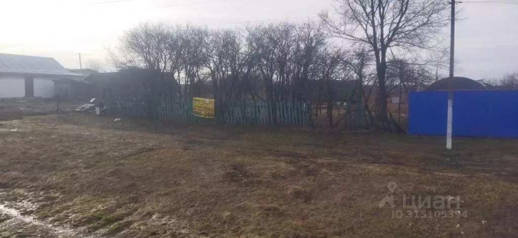 Участок в Пензенская область, Бессоновский район, с. Кижеватово М-5 ... - Фото 0