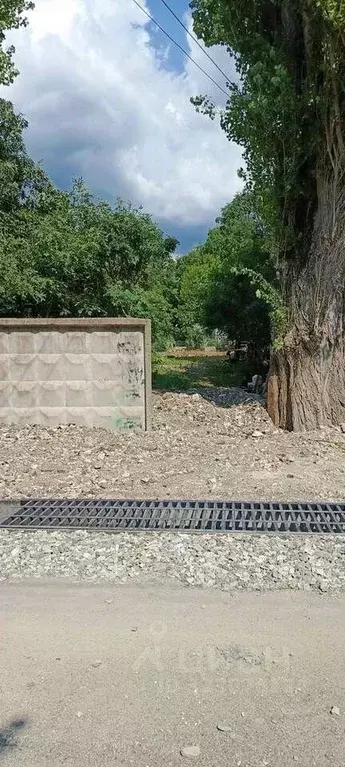 Участок в Краснодарский край, Новороссийск городской округ, ... - Фото 0