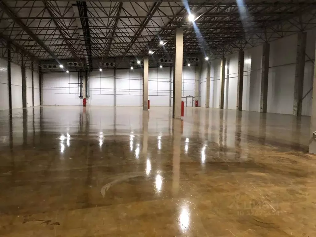 Склад в Ленинградская область, Ломоносовский район, Лаголовское с/пос, ... - Фото 1