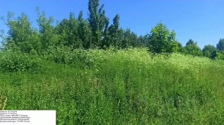 Участок в Московская область, Дмитровский муниципальный округ, д. ... - Фото 1