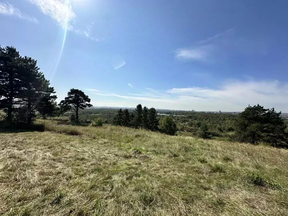 Участок в Иркутская область, Иркутский муниципальный округ, пос. ... - Фото 1