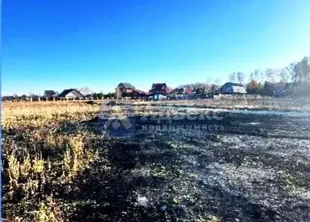 Участок в Тюменская область, Тюменский район, д. Насекина  (9.6 сот.) - Фото 1