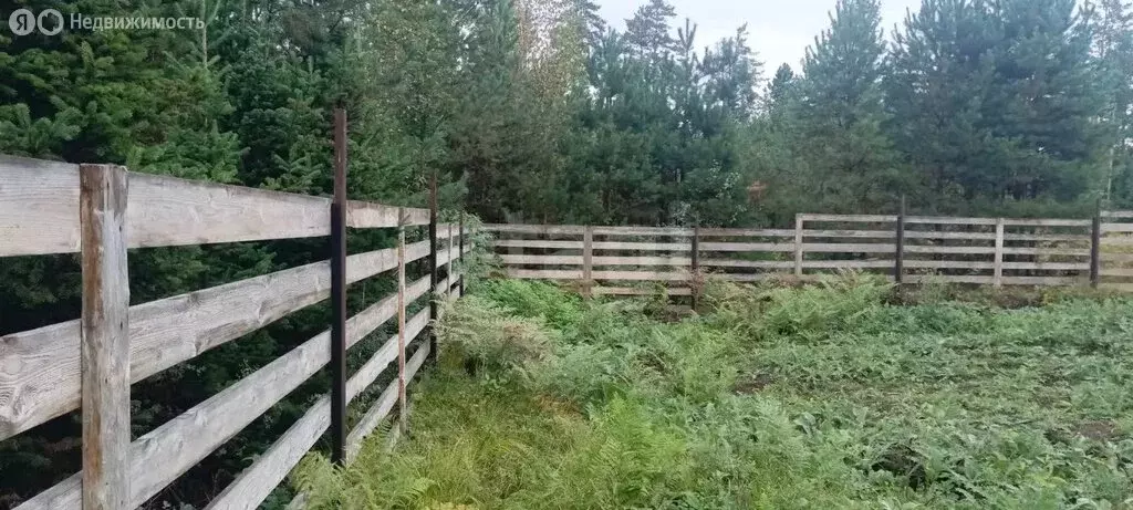 Участок в село Турочак, Восточная улица (6.64 м) - Фото 2
