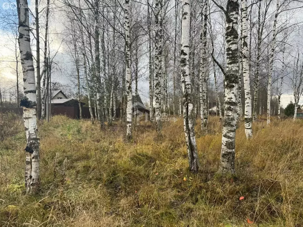 Участок в Мгинское городское поселение, посёлок Апраксин (8.4 м) - Фото 1