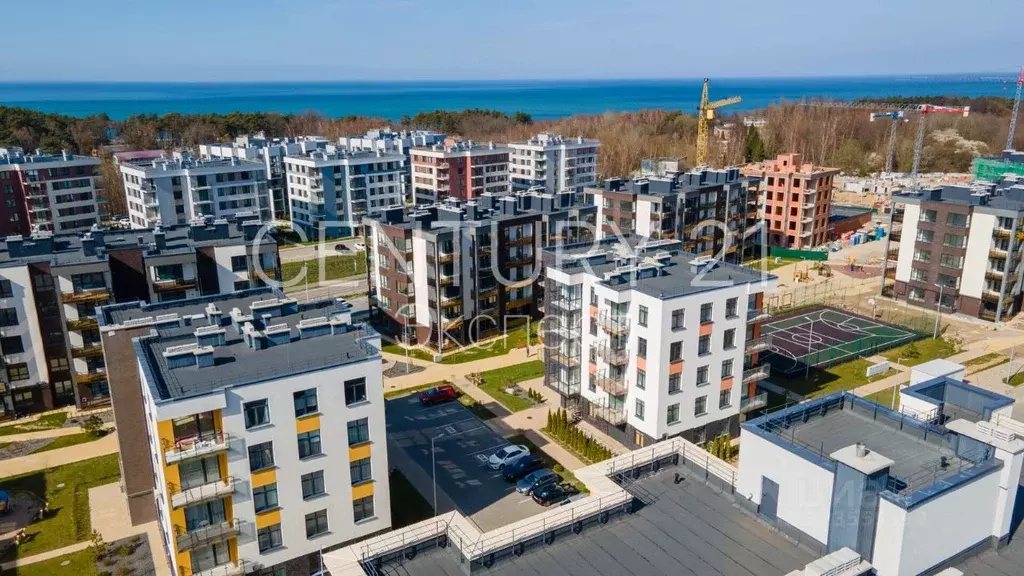 1-к кв. Калининградская область, Светлогорск Ольховая ул., 32к2 (45.0 ... - Фото 1