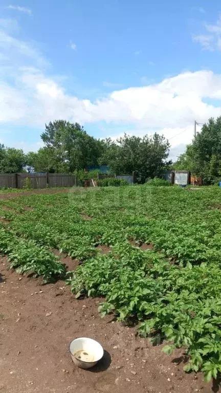 Участок в Амурская область, Благовещенск пос. Аэропорт,  (10.0 сот.) - Фото 1