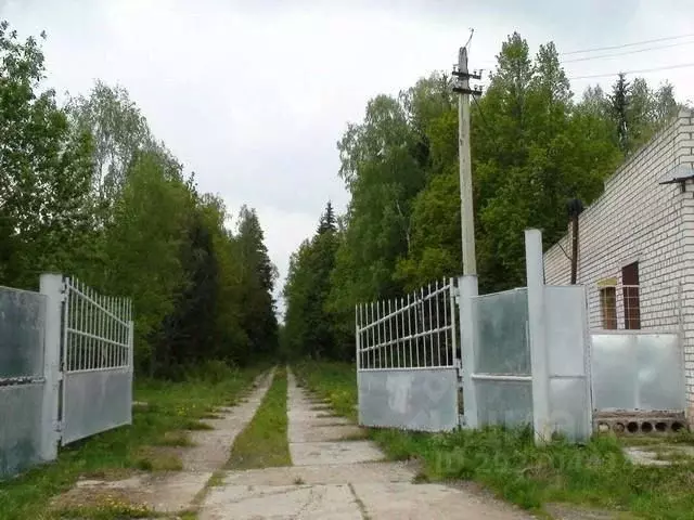 Участок в Владимирская область, Александровский муниципальный округ, ... - Фото 2
