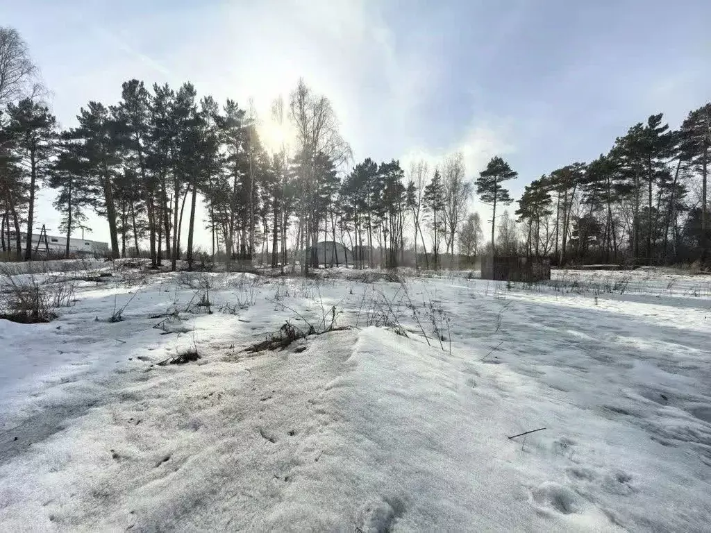 Участок в Алтайский край, Бийский район, с. Лесное Совхозная ул. (23.0 ... - Фото 1
