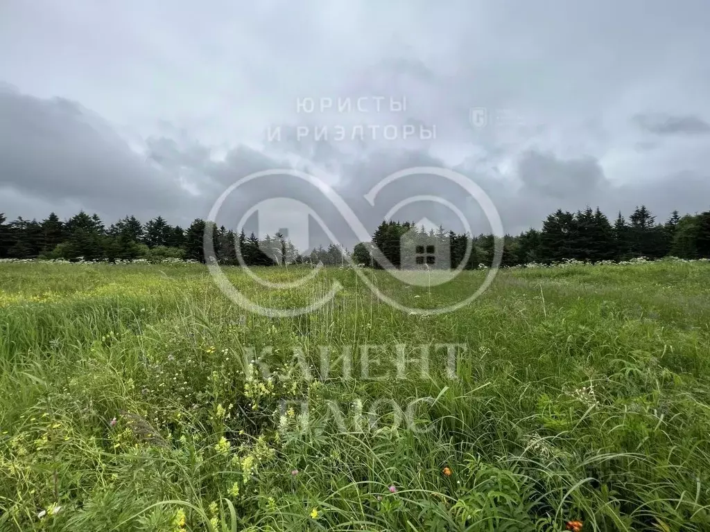 Участок в Сахалинская область, Корсаковский городской округ, пос. ... - Фото 0