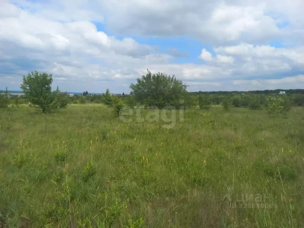 Участок в Воронежская область, Семилукский район, Губаревское с/пос, ... - Фото 2