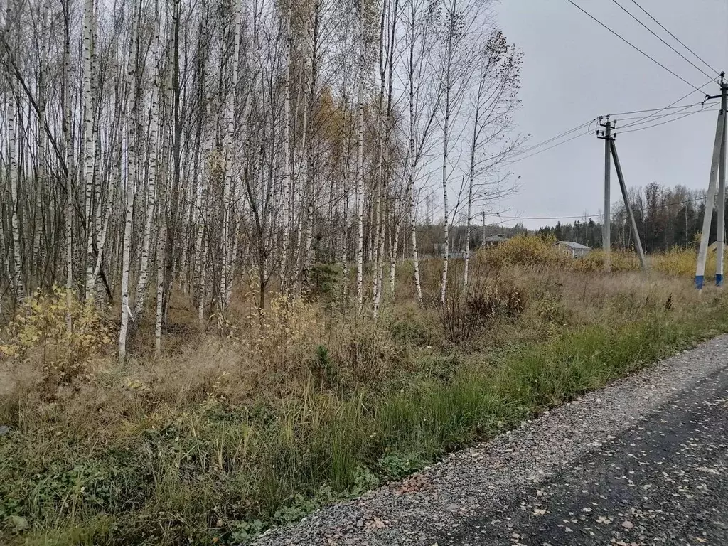 Участок в Московская область, Пушкинский городской округ, д. Могильцы ... - Фото 2