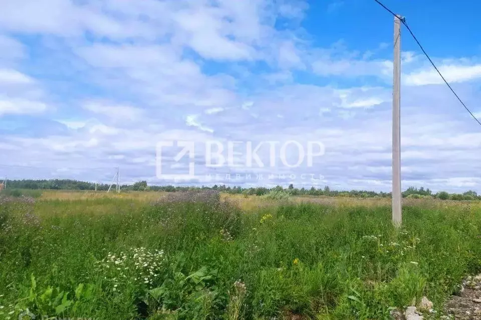 Участок в Костромская область, Кострома Первый кп, проезд ... - Фото 1