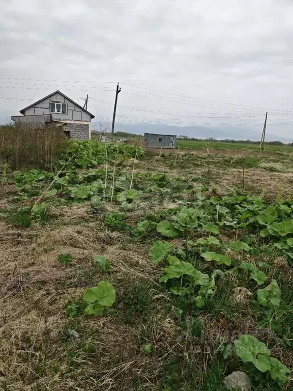 Участок в Сахалинская область, Анивский городской округ, с. Троицкое ... - Фото 1