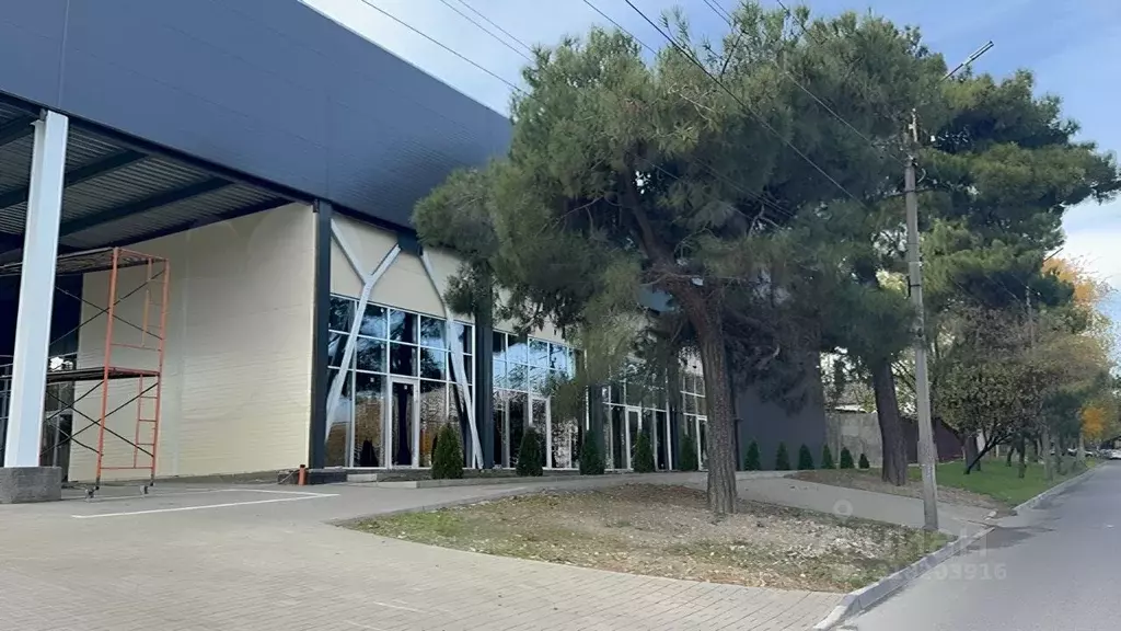 Помещение свободного назначения в Краснодарский край, Новороссийск ул. ... - Фото 0