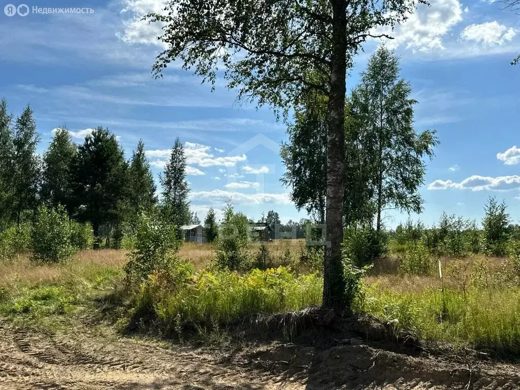 Участок в Куйвозовское сельское поселение, КП Белкино (9 м) - Фото 1