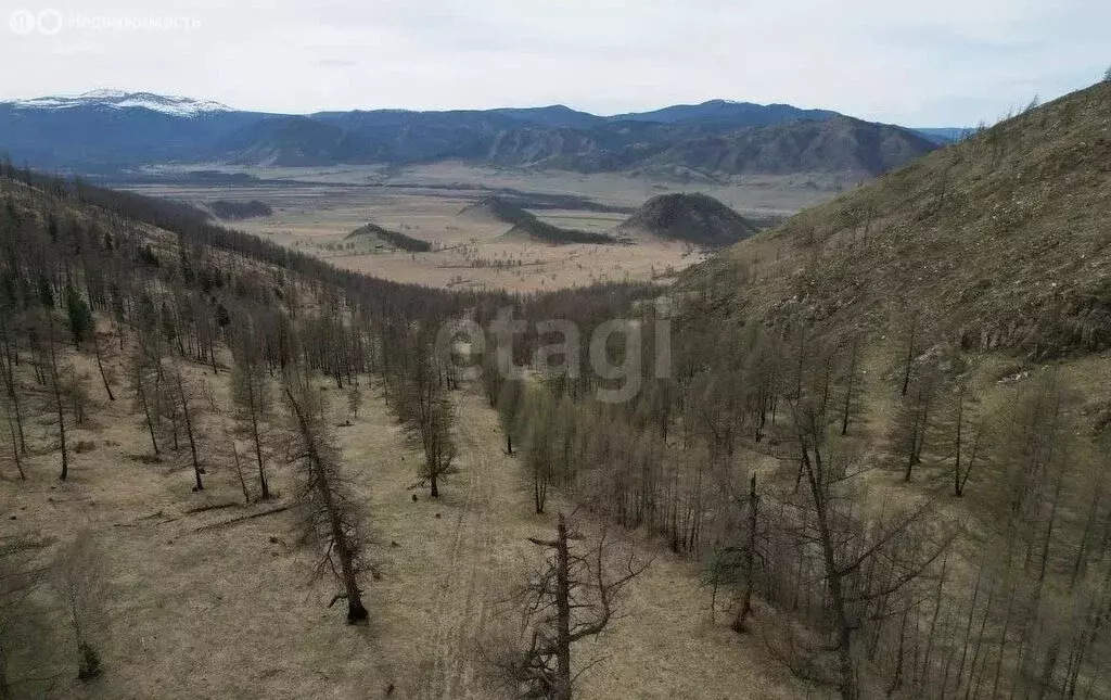 Участок в Онгудайский район, село Ело (64.57 м) - Фото 1