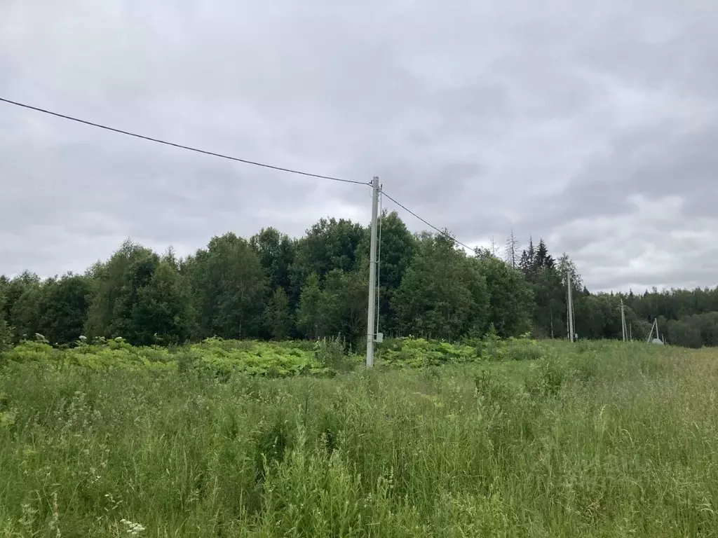 Купить Участок В Деревне Рузский Район