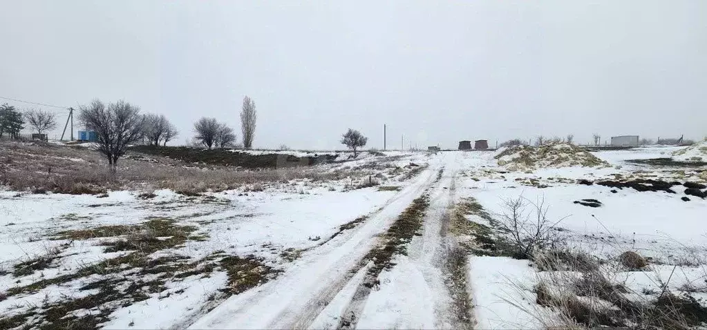 Участок в Крым, Симферопольский район, Трудовское с/пос, Бештерек СТ  ... - Фото 1