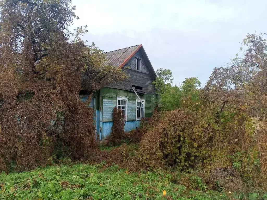 Участок в Псковская область, Островский район, Бережанская волость, д. ... - Фото 0